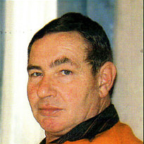 Hubert Schwarz