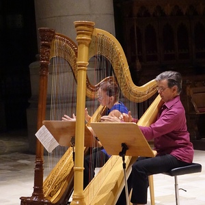 Duo Virtuose Harfenisten