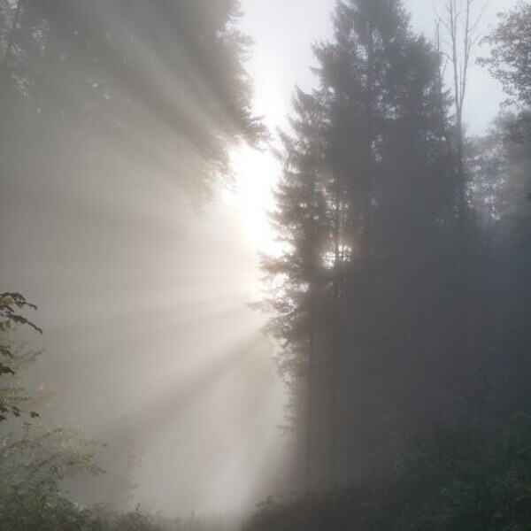 Licht durchbricht die Ausweglosigkeit / © Martin Rögner Licht durchbricht die Ausweglosigkeit