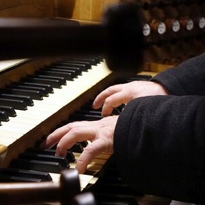 Domorganist Wolfgang Kreuzhuber an der Rudigierorgel