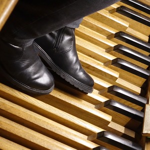 Domorganist Wolfgang Kreuzhuber an der Rudigierorgel