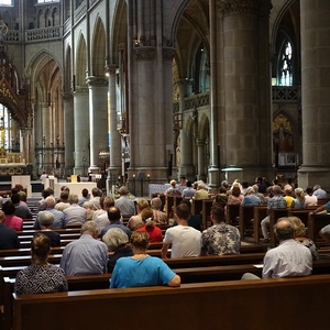 domorgelsommerlinz-Publikum im Mariendom
