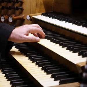 Domorganist Wolfgang Kreuzhuber an der Rudigierorgel