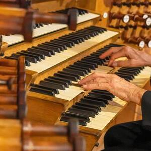 Brett Leighton an der Rudigierorgel