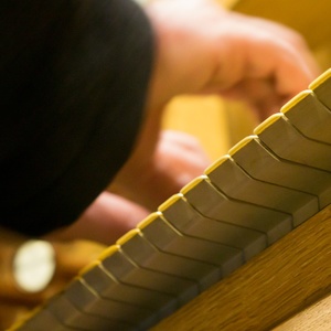 Domorganist Wolfgang Kreuzhuber an der Rudigierorgel