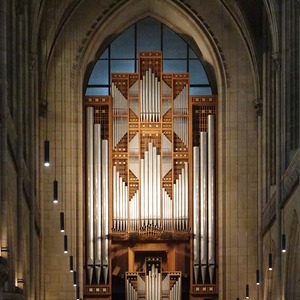 Rudigierorgel im Linzer Mariendom