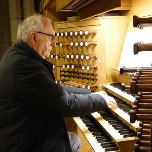 Domorganist Wolfgang Kreuzhuber an der Rudigierorgel