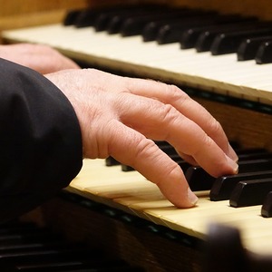 Domorganist Wolfgang Kreuzhuber an der Rudigierorgel