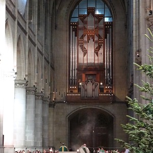 Blick auf die Rudigierorgel