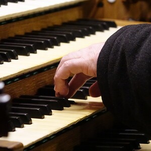 Domorganist Wolfgang Kreuzhuber an der Rudigierorgel