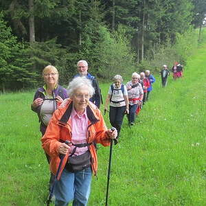 Waldhausen - St. Georgen/Walde - Kaltenberg - Sandl