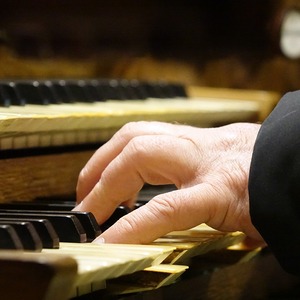 Domorganist Wolfgang Kreuzhuber an der Rudigierorgel