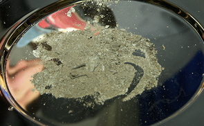 Asche auf Teller