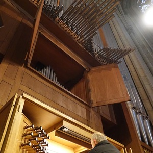 Domorganist Wolfgang Kreuzhuber an der Rudigierorgel