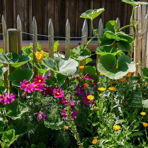 Garten mit Blumen