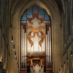 Rudigierorgel im Linzer Mariendom