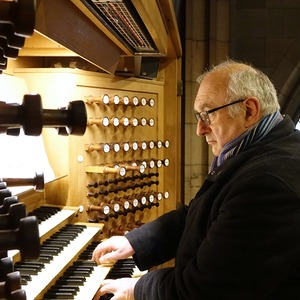 Domorganist Wolfgang Kreuzhuber an der Rudigierorgel