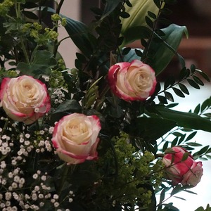ORGEL.LITURGIE im Mariendom Linz: Ein Krebs im Kittel!