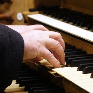 Domorganist Wolfgang Kreuzhuber an der Rudigierorgel