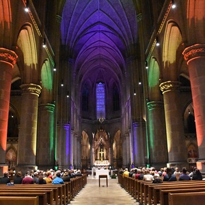 Blick in das HARFONISCHe ORGEL.SOMMER-Publikum