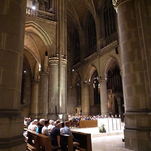 Blick in den Mariendom Linz