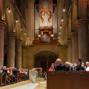 OrgelKunstDialog im Mariendom