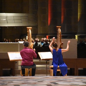 Duo Virtuose Harfenisten und das ORGEL.SOMMER-Publikum