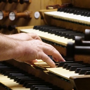 Domorganist Wolfgang Kreuzhuber an der Rudigierorgel