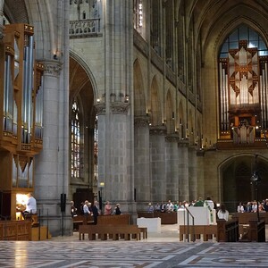 Rudigierorgel und Chororgel im Mariendom Linz