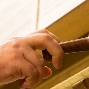 Domorganist Wolfgang Kreuzhuber an der Rudigierorgel