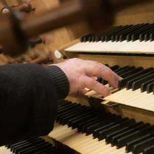 Domorganist Wolfgang Kreuzhuber an der Rudigierorgel
