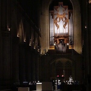 Blick zur Rudigierorgel