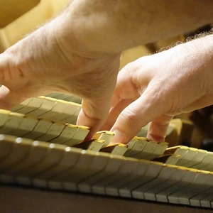 Domorganist Wolfgang Kreuzhuber an der Rudigierorgel