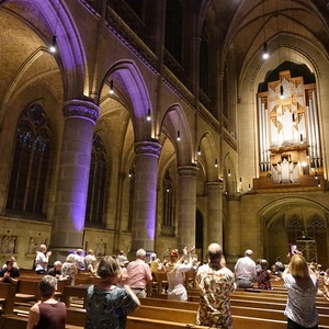 Standing Ovations bei FRANCKOPHIL mit Ben van Oosten beim ORGEL.SOMMER im Mariendom Linz