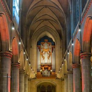 Blick zur Rudigierorgel