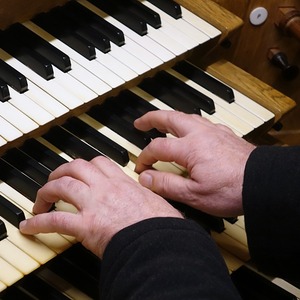 Domorganist Wolfgang Kreuzhuber an der Rudigierorgel