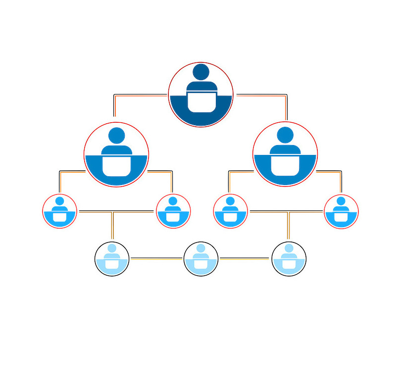Organigramm