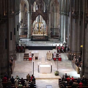 ORGEL.LITURGIE im Mariendom Linz: Ein Krebs im Kittel!