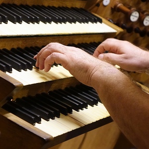 Domorganist Wolfgang Kreuzhuber an der Rudigierorgel