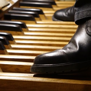 Domorganist Wolfgang Kreuzhuber an der Rudigierorgel