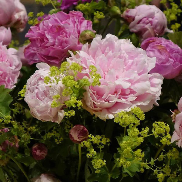 Blumenschmuck im Mariendom Linz