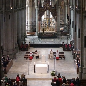 ORGEL.LITURGIE im Mariendom Linz: Ein Krebs im Kittel!