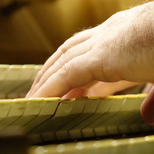Domorganist Wolfgang Kreuzhuber an der Rudigierorgel