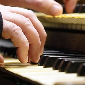 Domorganist Wolfgang Kreuzhuber an der Rudigierorgel