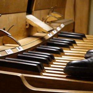 Domorganist Wolfgang Kreuzhuber an der Rudigierorgel