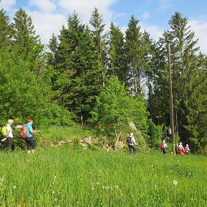 Waldhausen - St. Georgen/Walde - Kaltenberg - Sandl