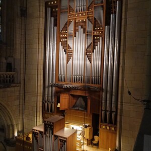 Dommusikassistent Gerhard Raab an der Rudigierorgel