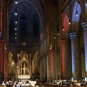 HYGGELIGes Lichtspiel im Mariendom Linz