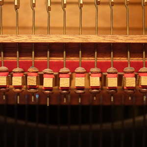 Rudigierorgel | Holzmuttern der Traktur