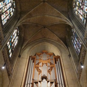 Rudigierorgel im Linzer Mariendom